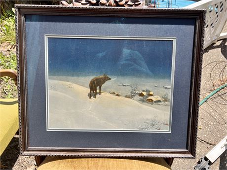 Wolf @ 18 x 24