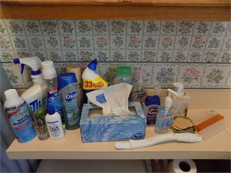 Misc. Bathroom Cleaning, Health Lot