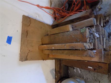 Wood Lot
