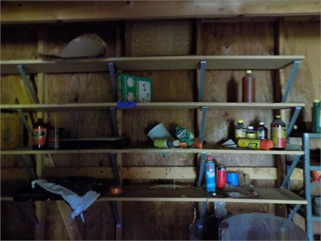 Misc Shelf Lot