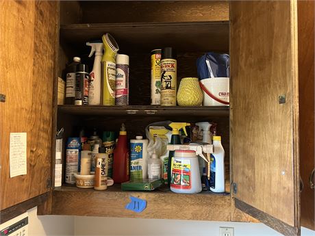 Cleaning Supplies Clean Out