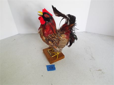 Feathered Rooster