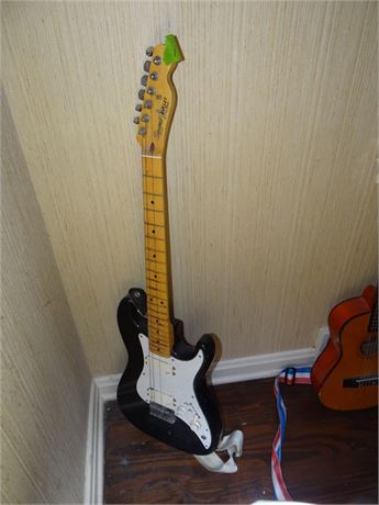 Guitar Living Room