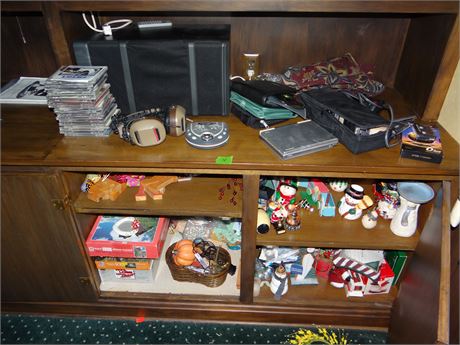 Library -Electronics, Speaker and Christmas Rt Rear Wall