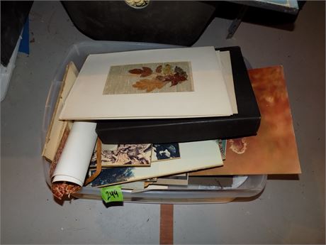 Art, Photos