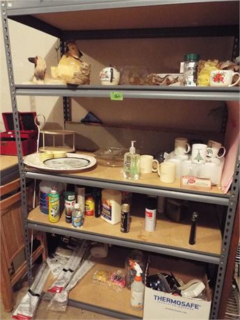 Misc Shelf Lot (Shelf not included