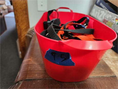 Lot of collars, leashes, and harnesses