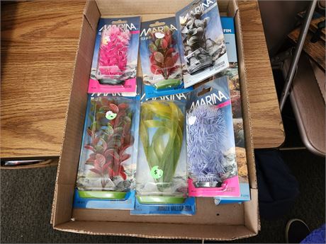 Aquarium Plants