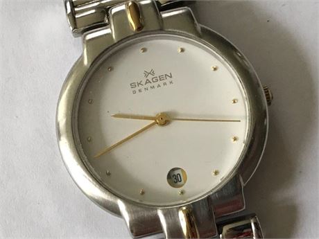 Skagen Denmark Watch