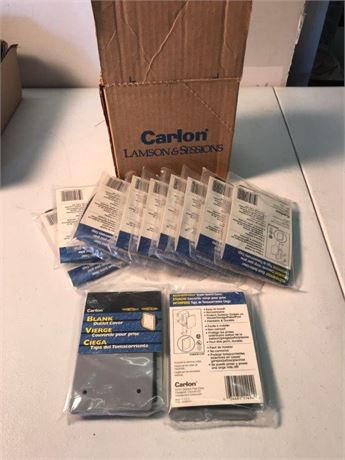 Box of Carlon Blank Outlet Covers
