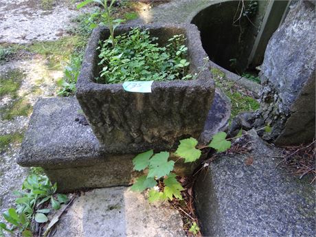 Concrete Planters