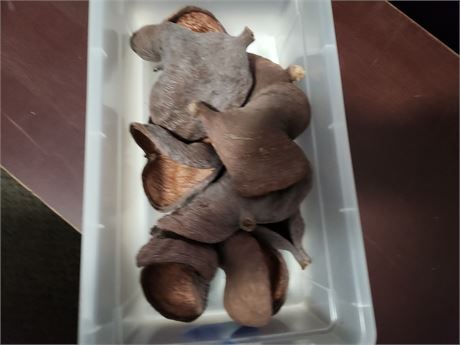 Wood Hearts