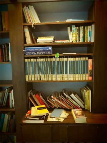 Book Shelf Lot