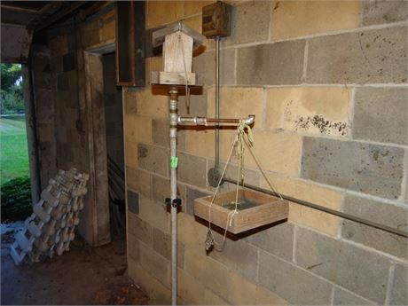 Bird Feeder on a Stand
