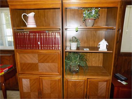 Wall Bookcases Cabinets (2)