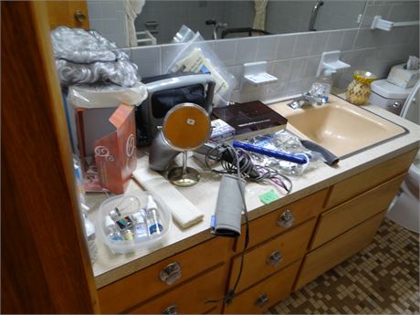 Bathroom Cleanout