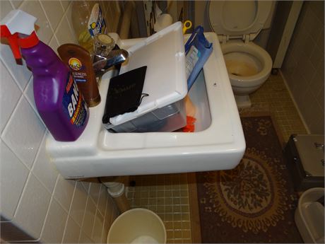 Bathroom Cleanout