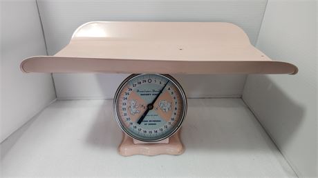 American Family Pink Nursery Scale
