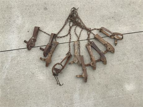Muskrat Traps