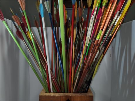 Practice Arrows With Plastic Flocking