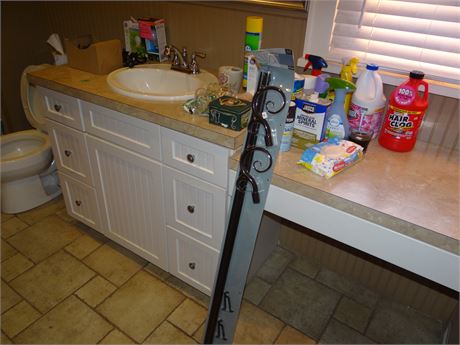 Bathroom Cleanout