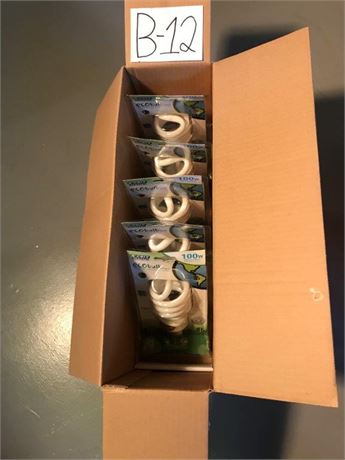 Light Bulbs