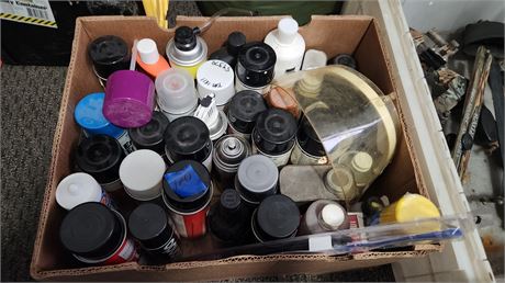 Lot Of Chemicals & Spray Paint