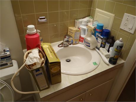 Bathroom Cleanout