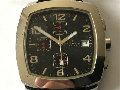 Skagen Watch