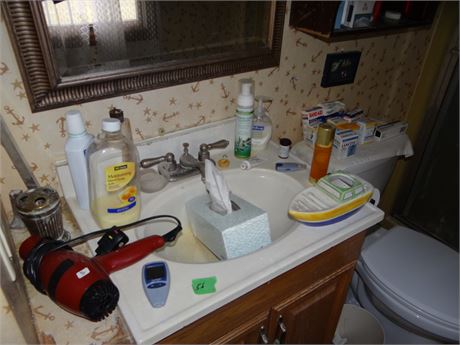Bathroom Cleanout