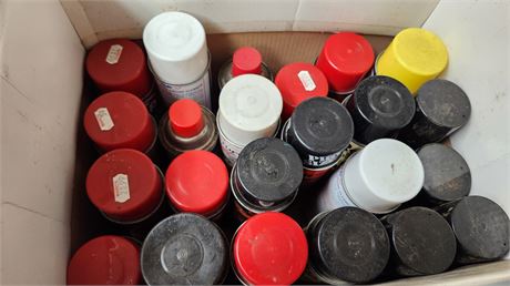 Carb Cleaner & Spray Lubricant