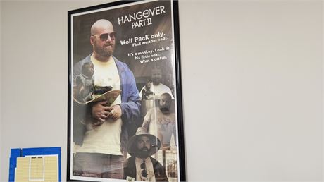 Hangover 2 Framed Poster