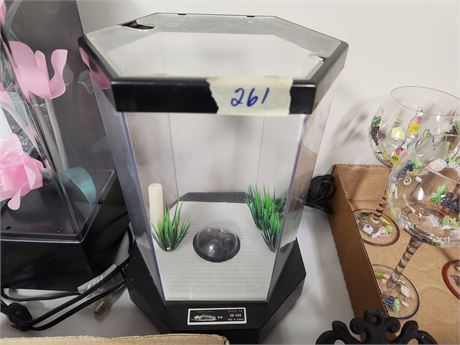 Small Fish Tank