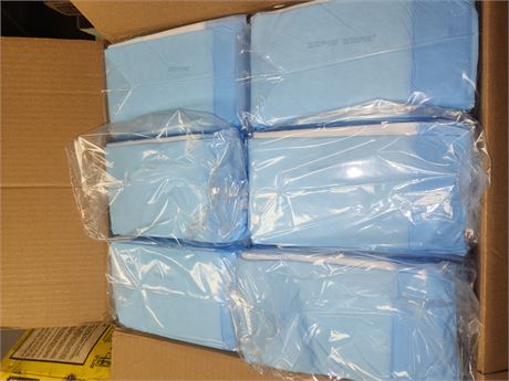 Case of bed pads