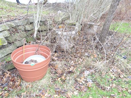 Large Flowerpots