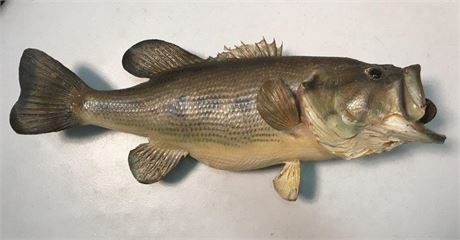24” Stuffed Bass