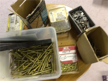 Assorted Screws and Nails