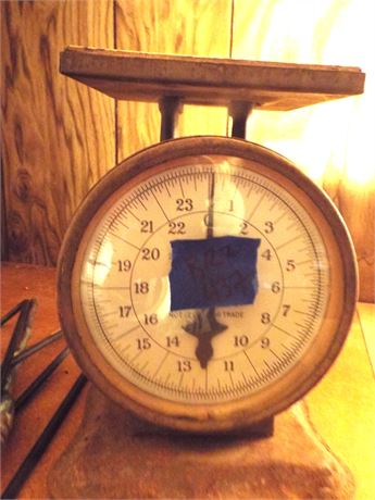Scale
