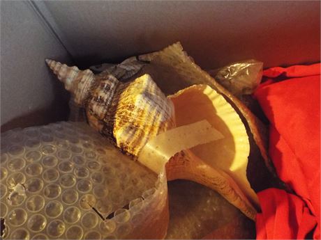 Seashell, Tire Ashtrays, Misc
