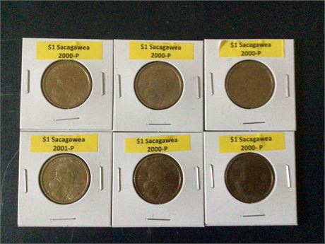 Five 2000 -P, 2001-P, Sacagawea $1