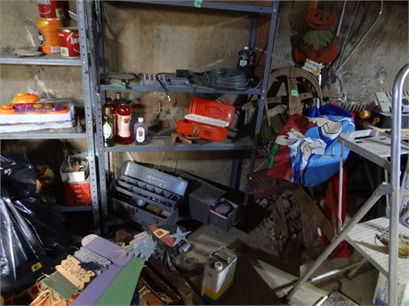 Shelf and Contents