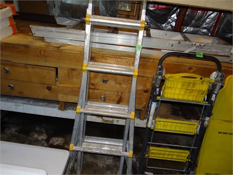 Little Giant Ladder