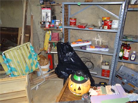 Shelf and Contents