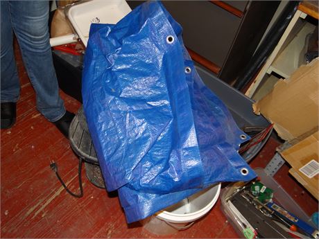 Tarp