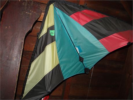 Kite