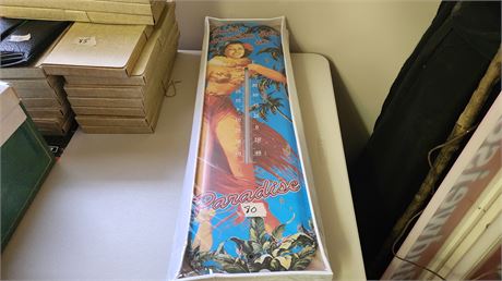 Outdoor Thermometer