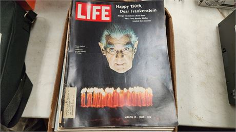 Vintage Life Magazines