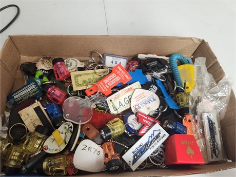 Lot of Key Chains
