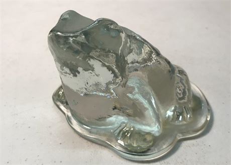 Stickered Viking Glass Frog