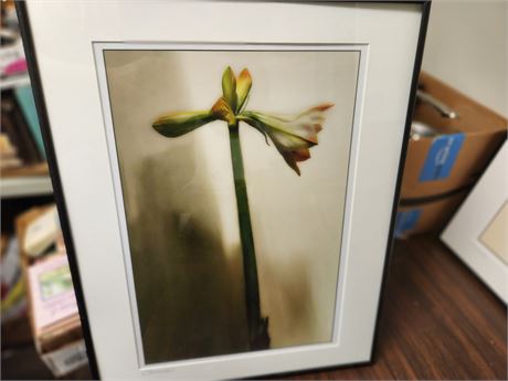 Framed Signed Flower Painting